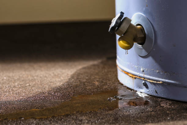 Best Fire Damage Restoration  in Taft Mosswood, CA