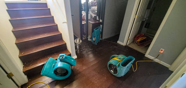 Best Mold removal after water damage  in Taft Mosswood, CA