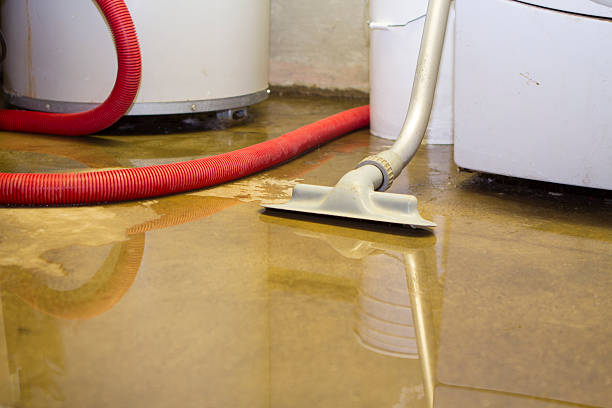 24/7 water damage repair in Taft Mosswood, CA