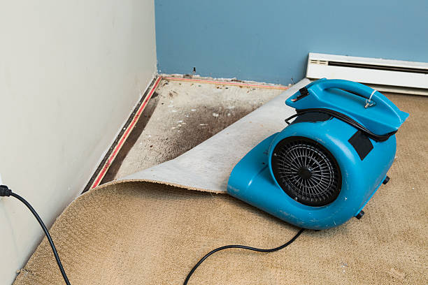 Best Flood damage cleanup  in Taft Mosswood, CA